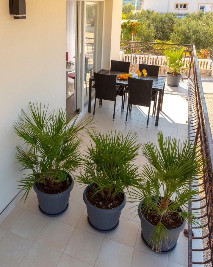 Apartmani Dalmacjia Grebaštica المظهر الخارجي الصورة